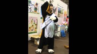 あらいぐんまちゃん。　ぐんまちゃんダンス『ミンナノグンマ』