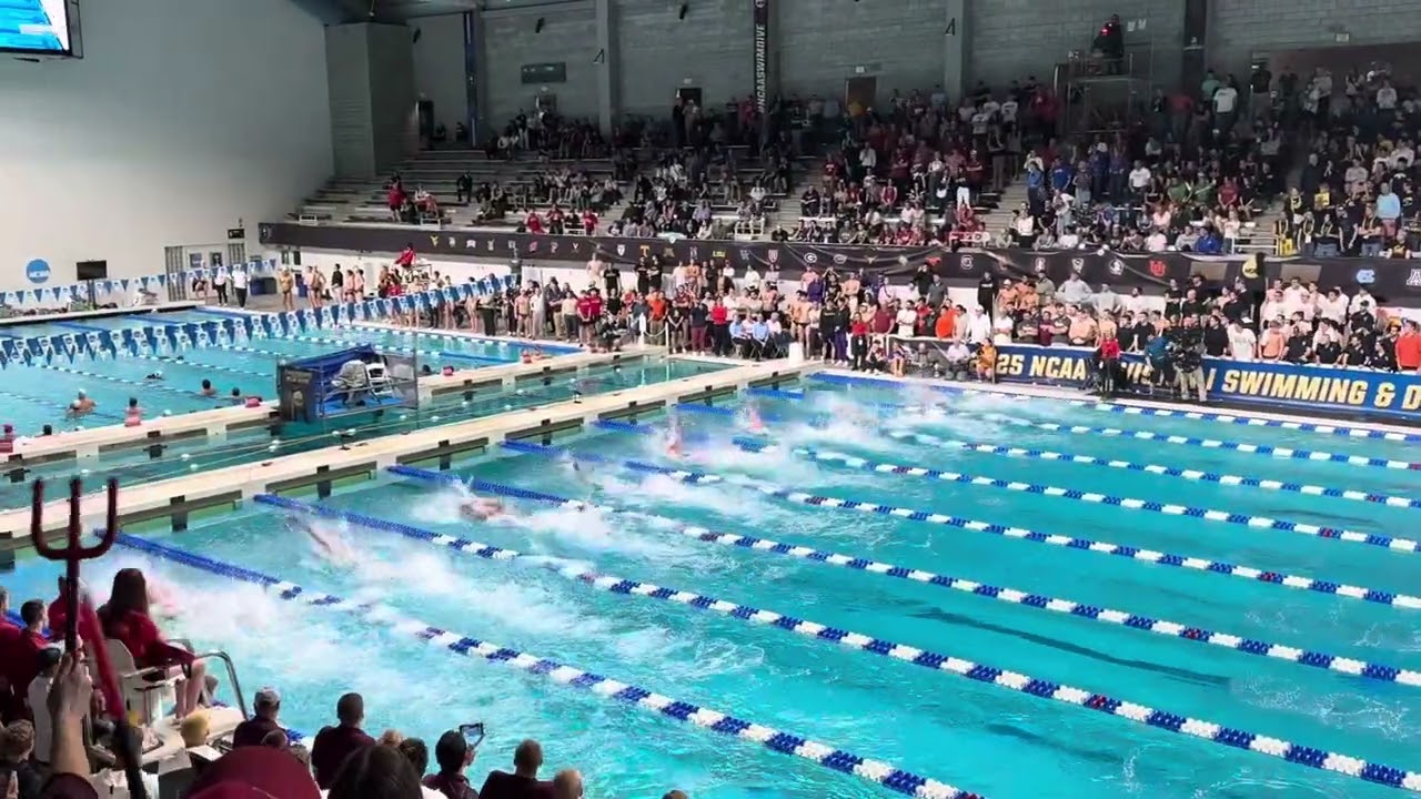 50 Freestyle | 2025 Men’s Swimming NCAA Championship | Jordan Crooks - 17.91