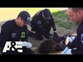 Live Rescue: Knocked Out at a Park (Season 2) | A&E