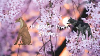 PRISMO - Pretty Stranger (WildCraft Musikvideo)