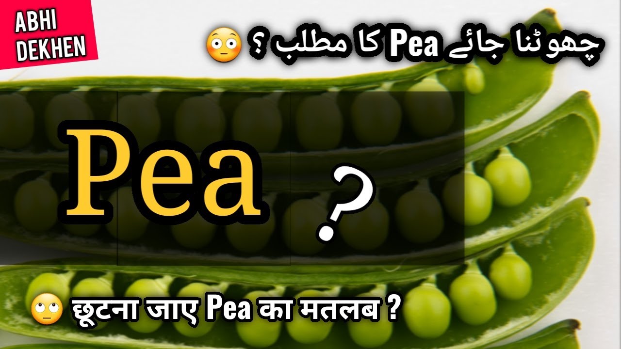 Pea ka matlab kya hota hai? Pea ka arth Pea Pronunciation Pea