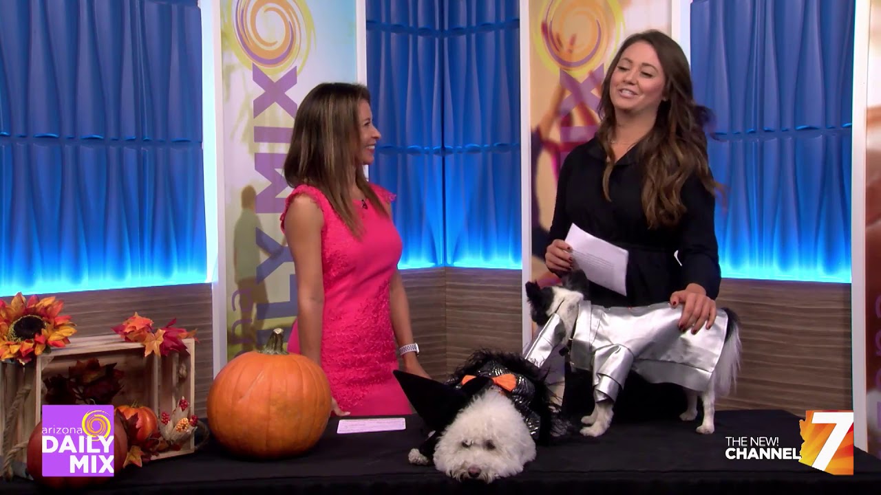 Halloween Dog Party and Costume Ideas YouTube