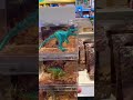 Dinosaurus berkilauan #dinosaur #toys #mainananak