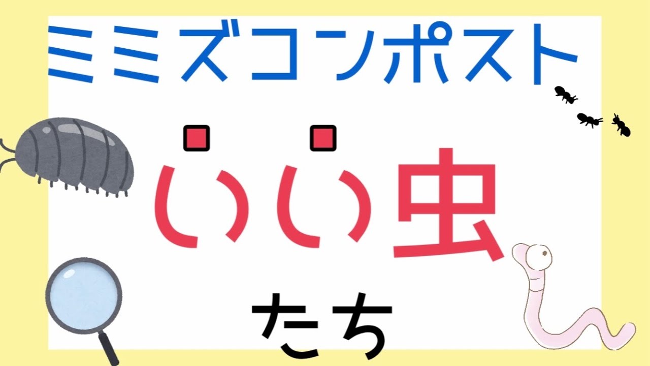 益虫 ミミズコンポストの中に棲むいい虫たち リサイクル Youtube