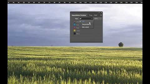 Ink Limit / Adobe InDesign
