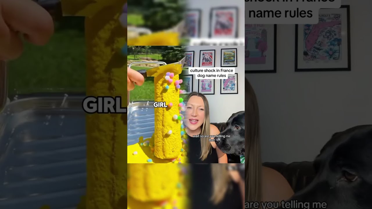  Funny Funnyvideos Fyp Pov Foryoupage Foryou Ytb
