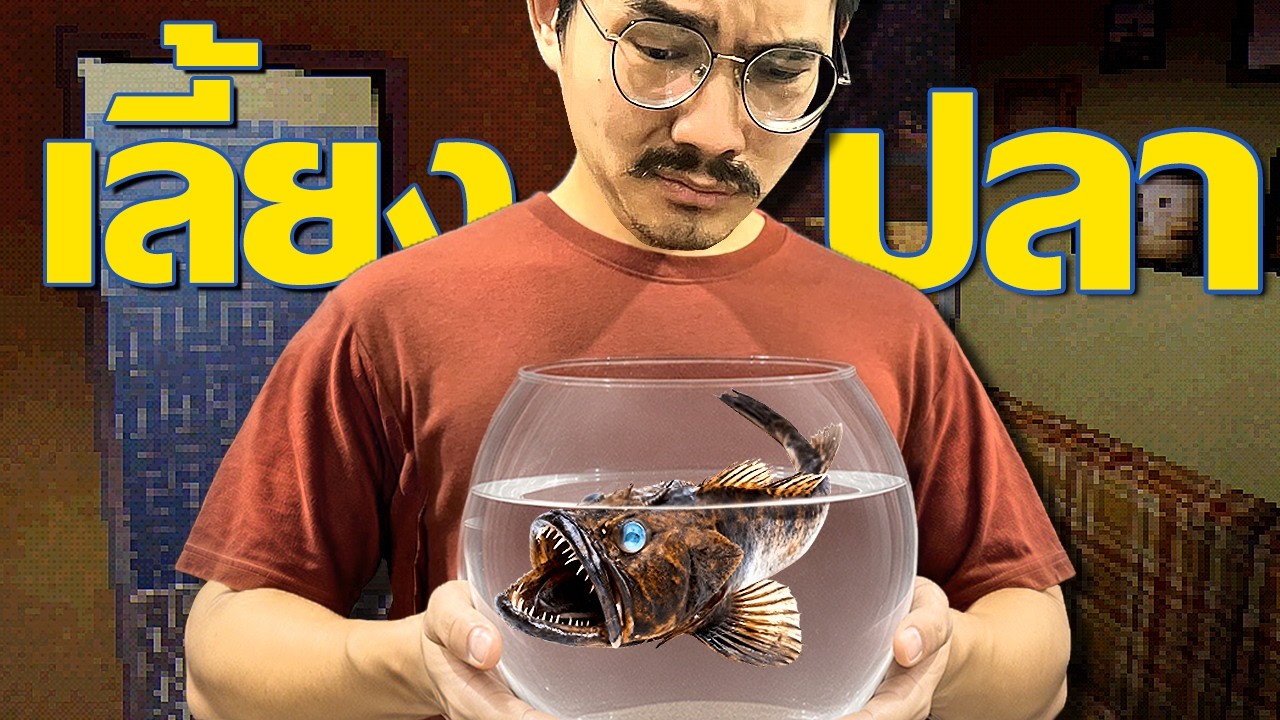 เกมเลี้ยงปลาธรรมดา แค่อย่าลืมให้อาหารมัน | Feed the Fish