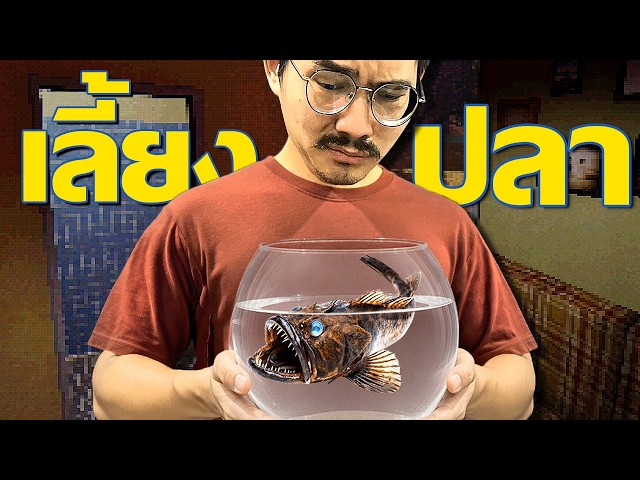 เกมเลี้ยงปลาธรรมดา แค่อย่าลืมให้อาหารมัน | Feed the Fish