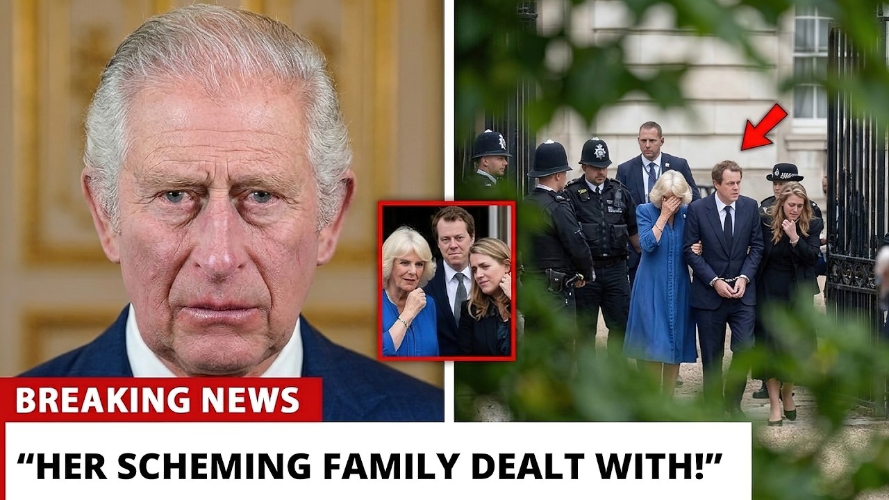 King Charles "FROZEN" After Investigation Reveals Camilla's Secret Succession Planning Files