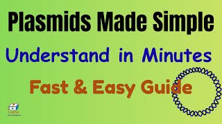 Plasmids Explained Simply: Structure, Function & Applications in Biology
