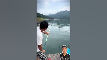 Cần câu đài gì mà khỏe vậy anh em #cauca #fishing #hoatratravel #shortvideo