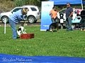 2nd Annual Scratch N Sniff fun day