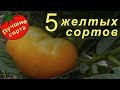 Желтые томаты (Лучшие сорта томатов)