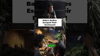 Baby Snakes ESCAPE Enclosure!! 🐍👀😲 @BrianBarczyk