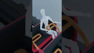 Raven Roller Coaster Accident