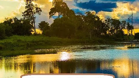 O que é a natureza do Brasil?