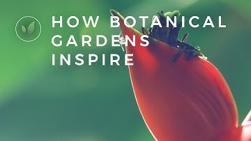 How Botanical Gardens Lead to Innovations