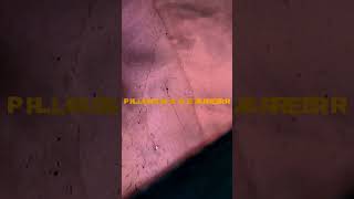 Pryne - Plaguebearer Coming Soon