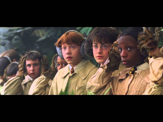 Harry Potter et la Chambre des Secrets : scène des Mandragores - Vidéo  Dailymotion