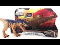 End of video