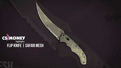 CS:GO | Flip - Safari Mesh