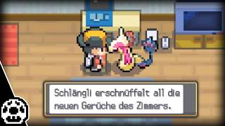 Ein Blick auf meine alten Pokémon-Spielstände - Mögis Museum
