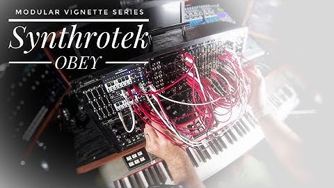 Synthrotek OBEY | Modular Vignette Series