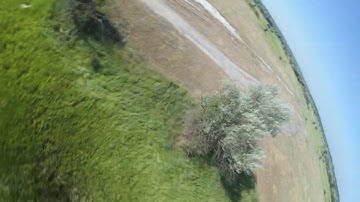 FPV Split-S Over Trees