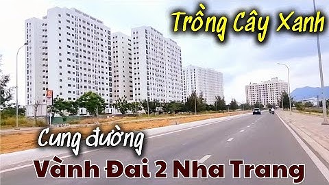 Cung Đường Vành Đai 2 Nha Trang,Dự Án Trồng Cây Xanh Giải Phân Cách.