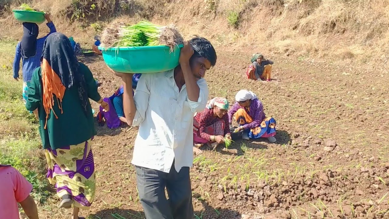 Kanda sijan pawari   baya kanda lavtana gane gayle ekda nkki baga