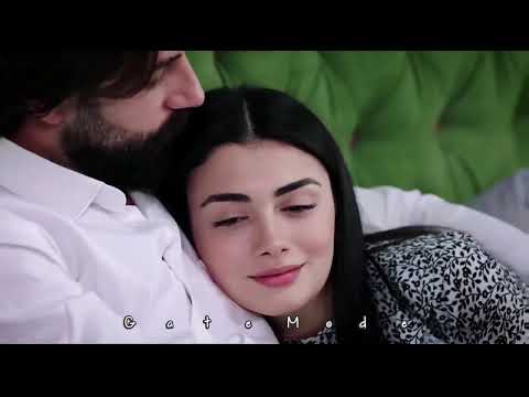 اغنية بحبك تامر حسني حالات واتس اب من فيلم مش انا
