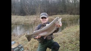 ŁOWISKO CZARNA PRZEMSZA-test spiningu DAM YAGI 2,25;3-15g