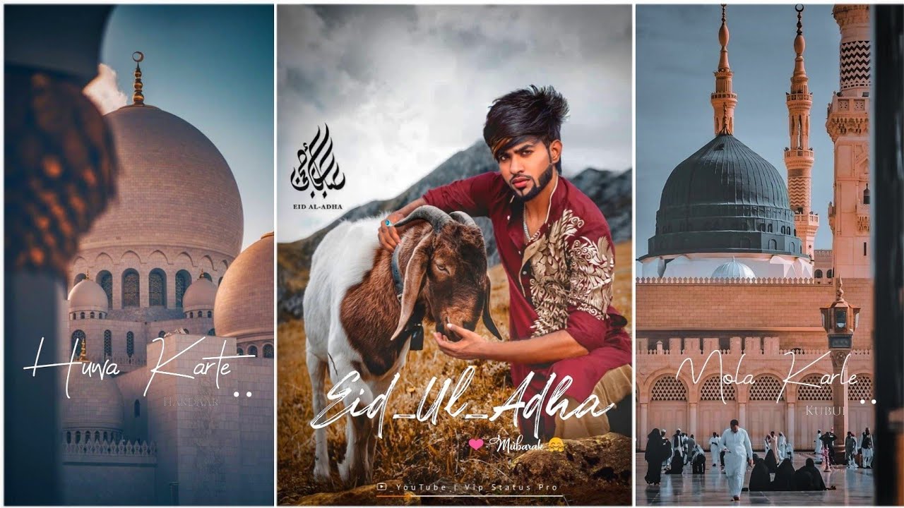 Eid Ul Adha Status || Bakra Eid Mubarak Status || 4k Fullscreen WhatsApp Status || Islamic 4k Status