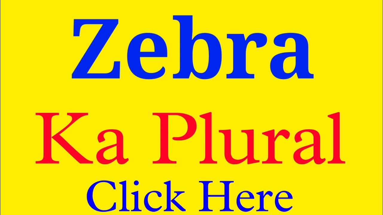 Zebra ka plural Zebra plural Zebra plural form plural form of