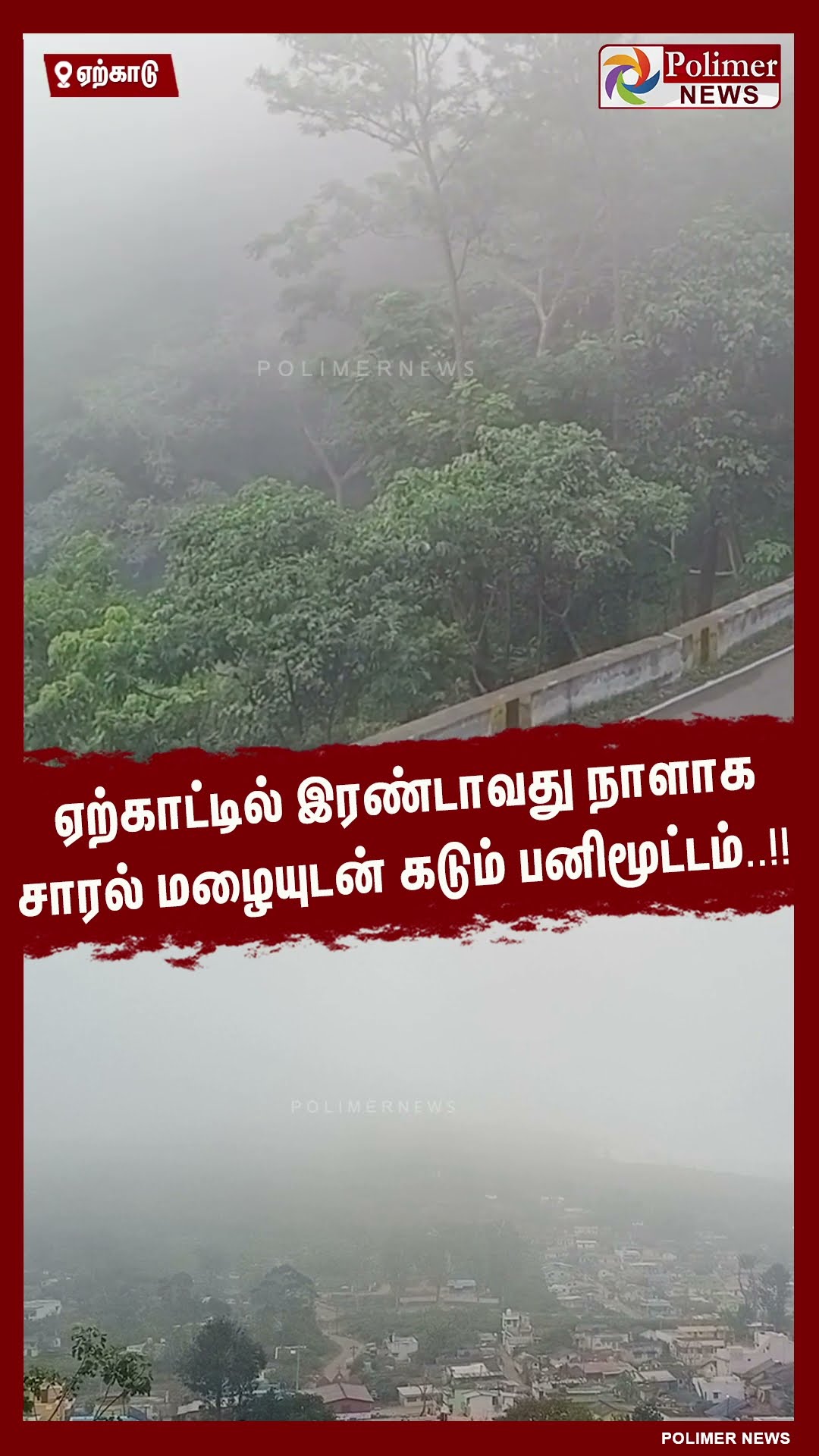 ஏற்காட்டில் இரண்டாவது நாளாக சாரல் மழையுடன் கடும் பனிமூட்டம்..!! #shorts