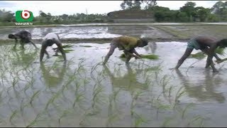 JaypurHat  Amon Rice | Babu | 24Jul17