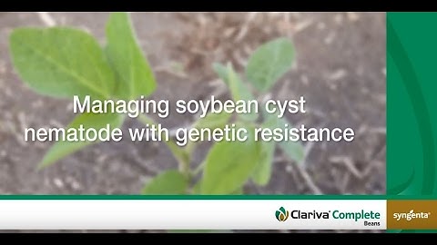 Managing Soybean Cyst Nematode with Genetic Resistance