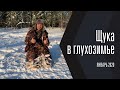 ГЛУХОЗИМЬЕ а у нас Шикарная Рыбалка. Жерлицы. Щука.