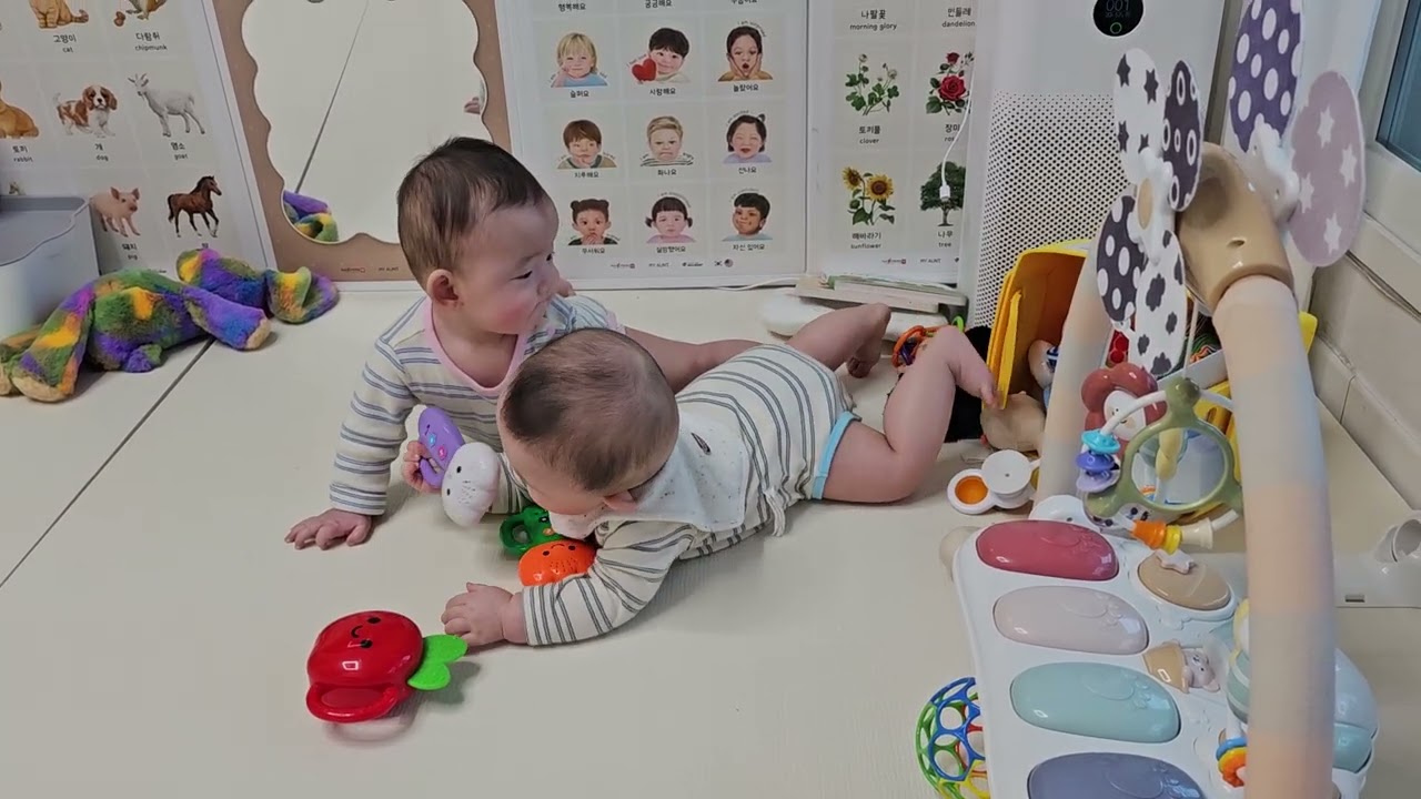 8개월 쌍둥이아기들 둘이놀아요 #8개월아기 #쌍둥이 #둘이놀아요 #모닝장난감테러