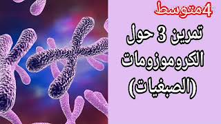 تمرين 3حول الكروموزومات (الصبغيات) والطابع الوراثي  تمارين الفصل الثالث للرابعة متوسط علوم طبيعية