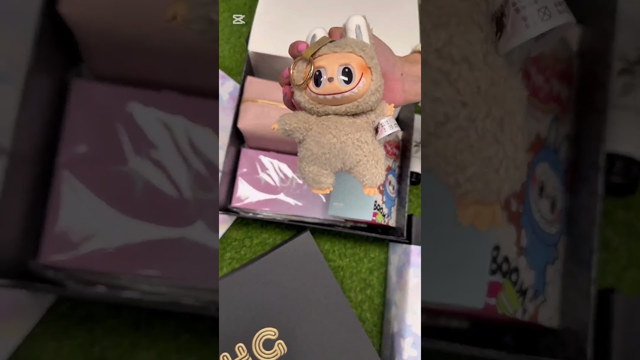 What’s Inside This Labubu Hamper ? 