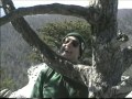 Trip 009   hanging rock hiking