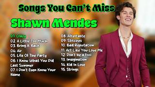  You Cant Miss  Shawn Mendes  Essential Hits