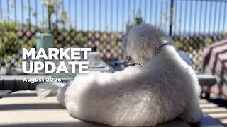 August 2026 Market Update