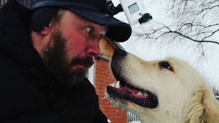 Луна день 2. Утреннее занятие, туалет, знакомство с моими собаками. Луна день 2. Утреннее занятие, туалет, знакомство с моими собаками.