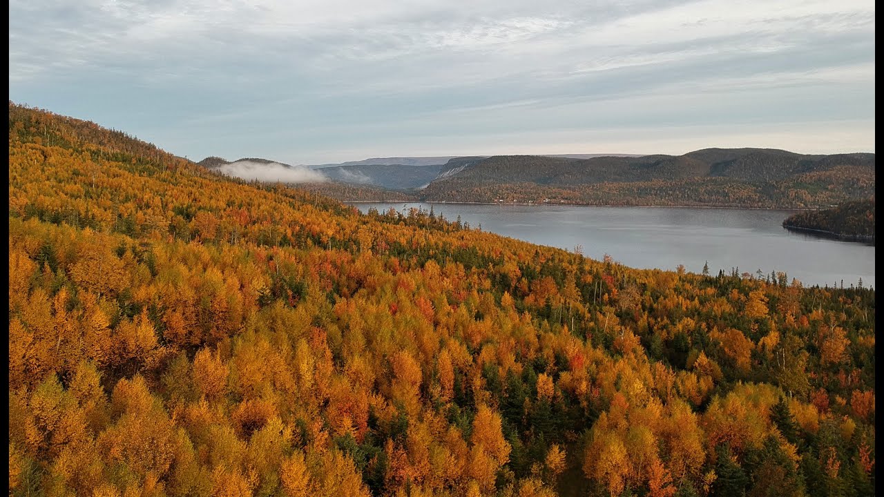 Fall Colors Of Newfoundland , Canada through the eyes of a drone YouTube