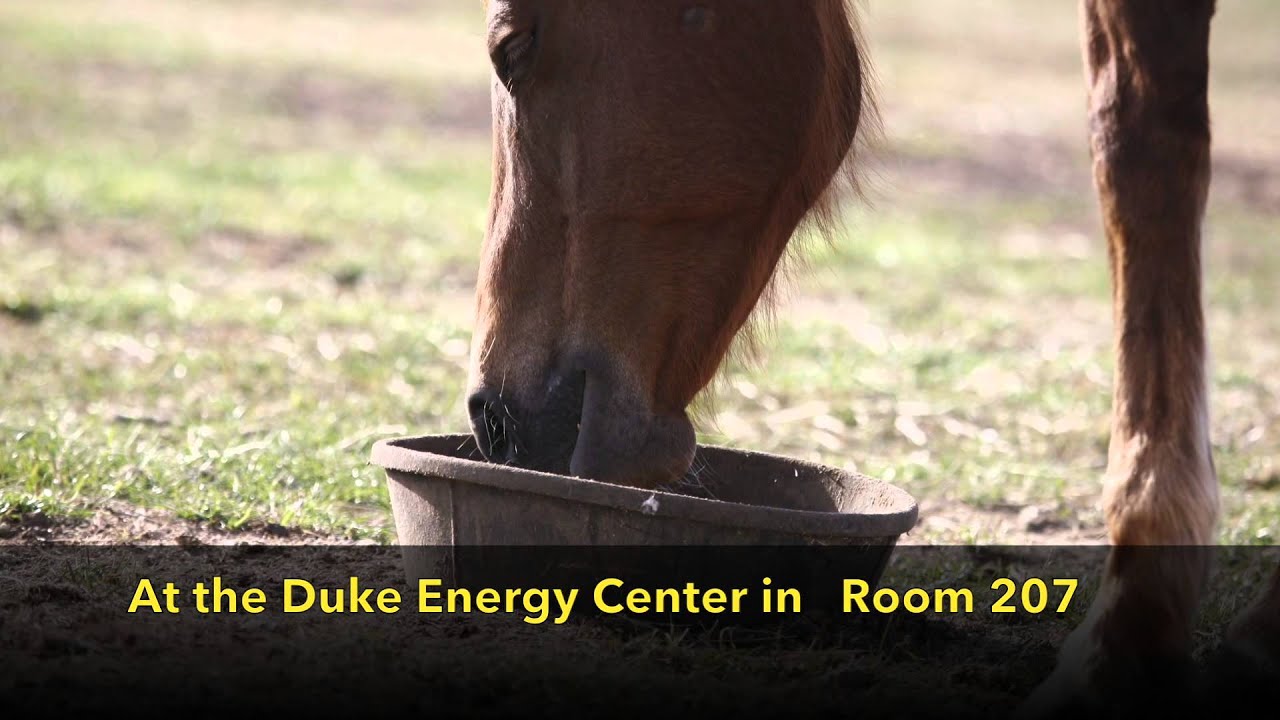 2015 International HoofCare Summit Preview SmartPak Clinic YouTube