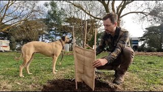 One Hectare - Planting Bare Root Fruit Trees