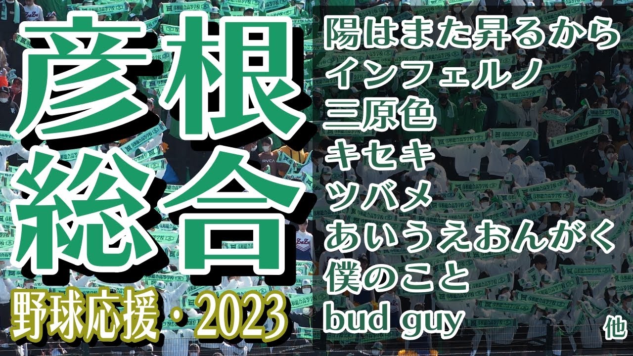 彦根総合高校春の選抜甲子園彦根総合大応援セット 【公式通販】