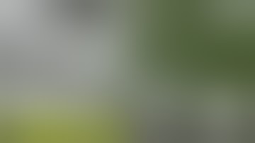 HLG x Paradise High | 4K